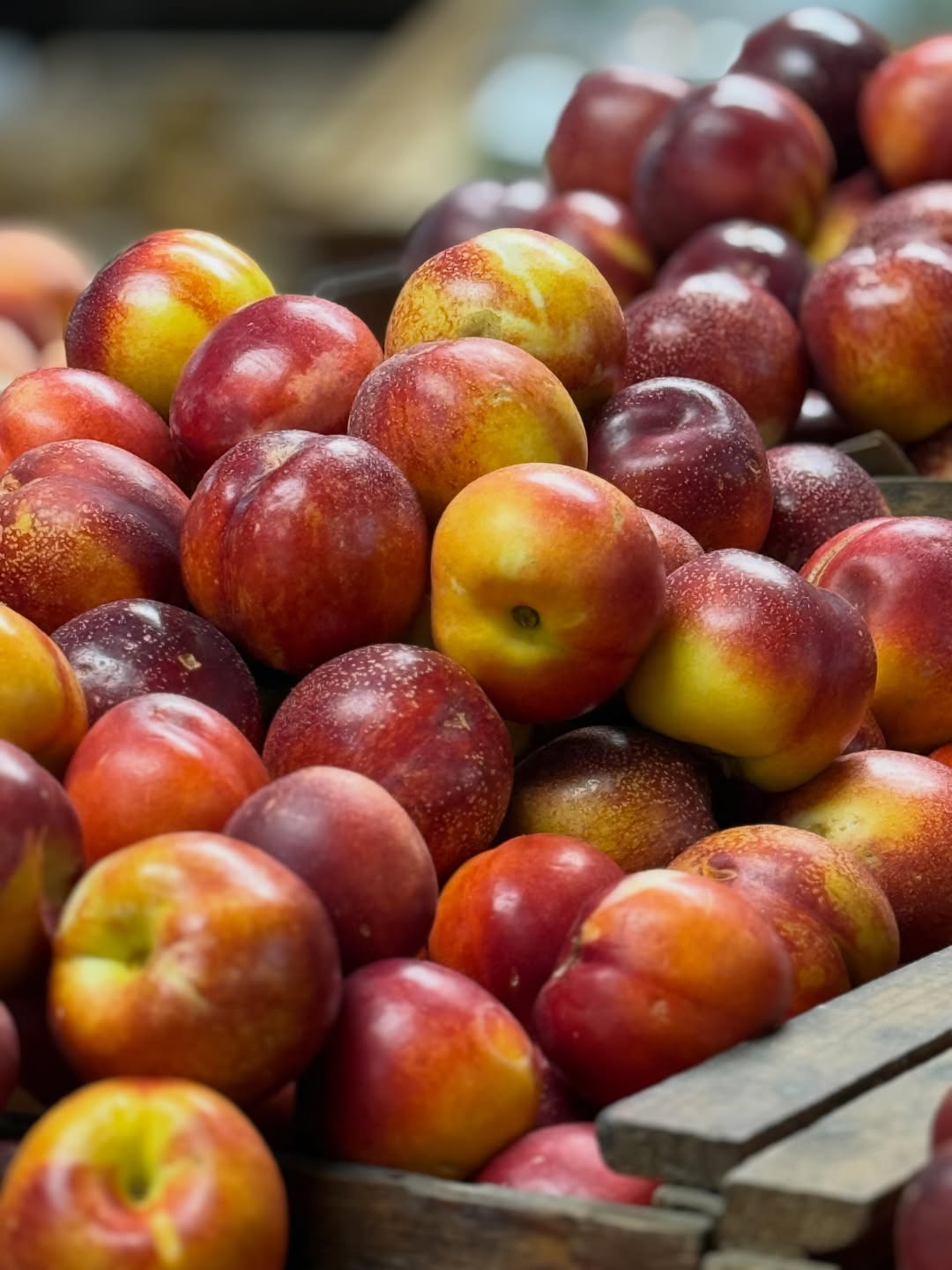 apples 3